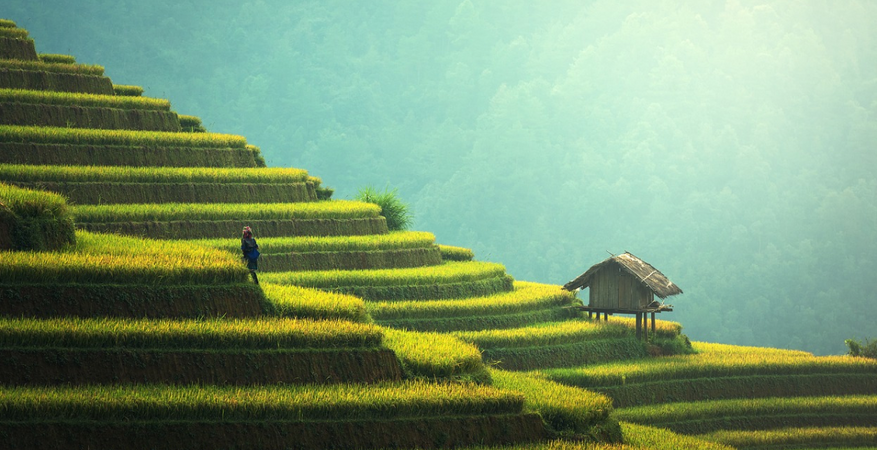 Malaysia01