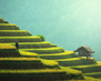 Malaysia01