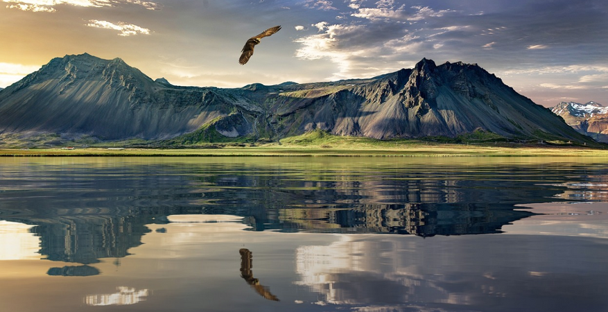 New Zealand01