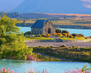 New Zealand03