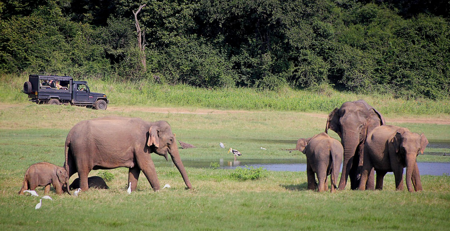 Sri Lanka01